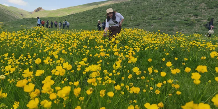 Van’daki doğa harikası kanyon keşfedilmeyi bekliyor