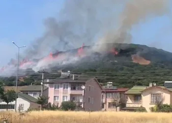 Niksar’da orman yangını, ekiplerin müdahalesi sürüyor