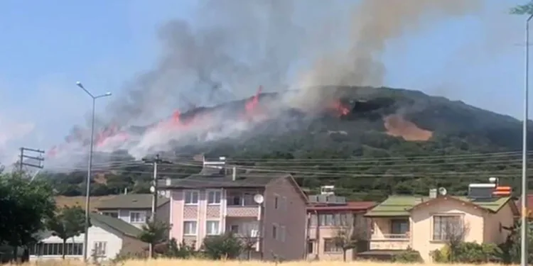 Niksar’da orman yangını, ekiplerin müdahalesi sürüyor