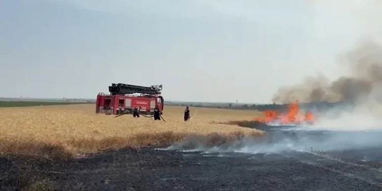 Kırklareli’nde buğday tarlalarında yangın
