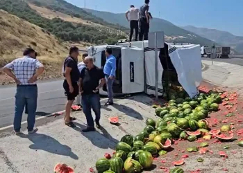 Gaziantep’te virajı alamayan karpuz yüklü kamyonet yan yattı