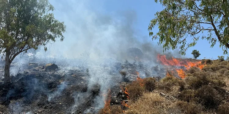 Bodrum Türkbükü’nde makilik yangını