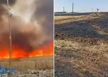 Mardin’de 350 dönüm buğday tarlası küle döndü