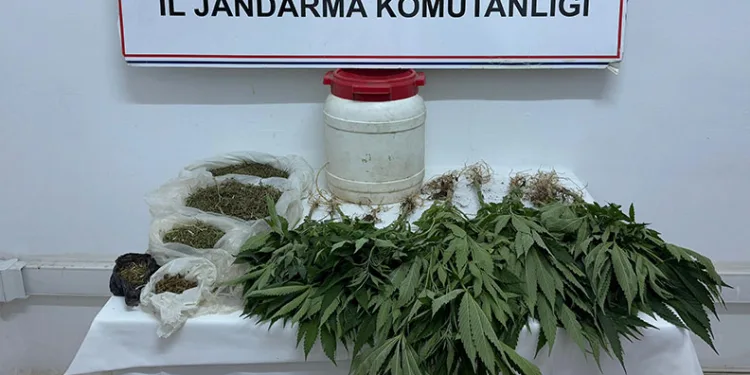 Suruç’ta uyuşturucu ele geçirildi