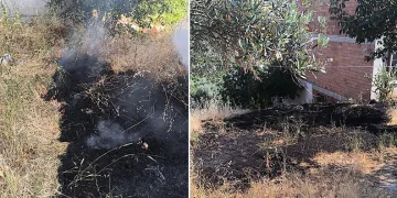 Temizlik amaçlı yakılan otlar kontrolden çıktı