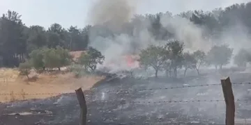 Ormanlık alanda çıkan yangın korkuttu
