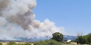 Çan’da tarım arazisinde yangın çıktı