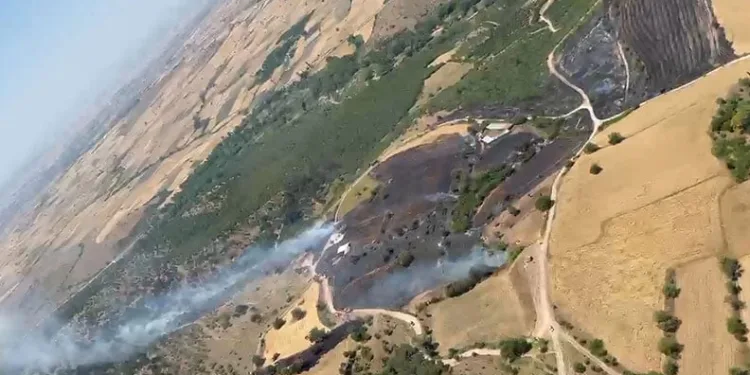 Balıkesir’de orman yangını