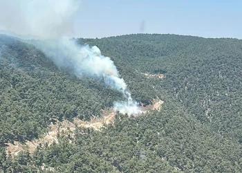 Ekipler orman yangını için seferber oldu
