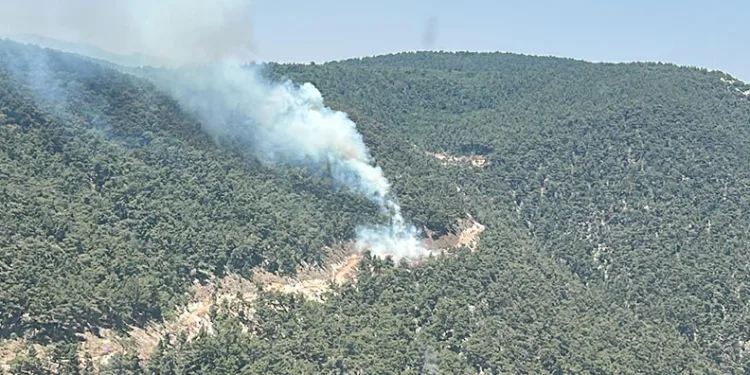Ekipler orman yangını için seferber oldu