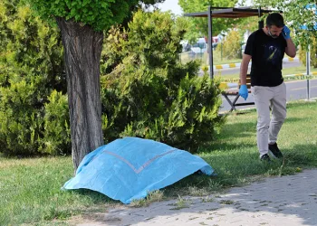Önce annesinin mezarını ziyaret etti, sonra canına kıydı