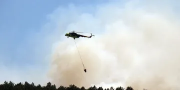 İki ilde orman yangını