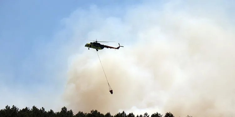 İki ilde orman yangını