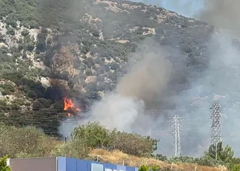 Bodrum’da makilik ve ormanlık alanda yangın çıktı
