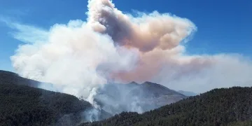 Sakarya’da büyük orman yangını
