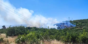 Bursa Mustafakemalpaşa Alacaat’ta Orman Yangını!