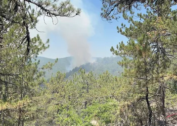 Eskişehir’de yeniden alevler yükseldi