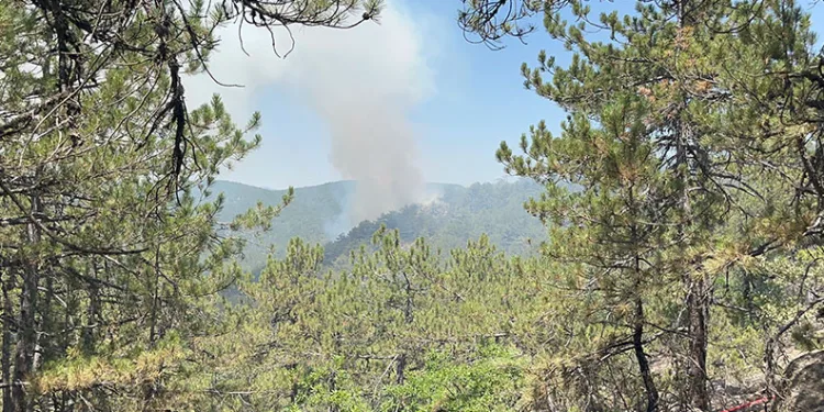 Eskişehir’de yeniden alevler yükseldi