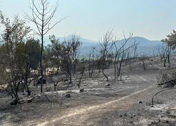 Bilecik’te yangın kontrol altına alındı
