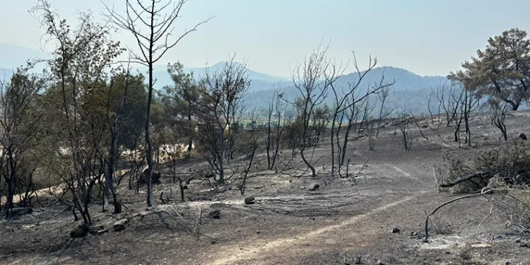 Bilecik’te yangın kontrol altına alındı