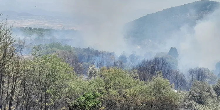 Muğla’daki yangın Stratonikia Antik kentindeki zirai alanda etkili oluyor