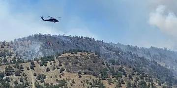 Ankara’da ormanlık alanda yangın çıktı