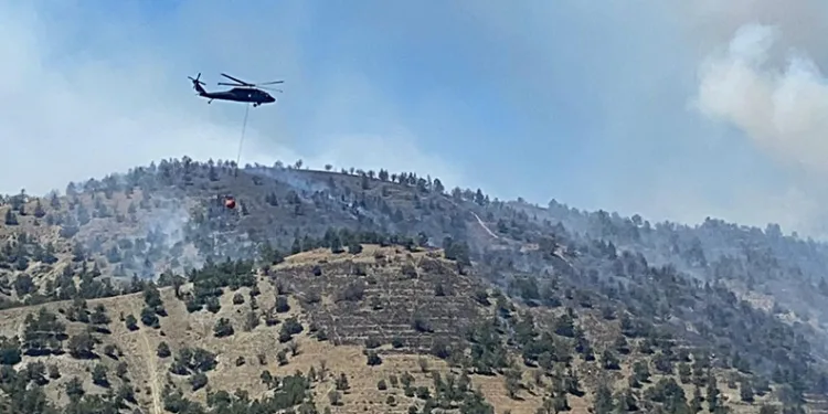 Ankara’da ormanlık alanda yangın çıktı