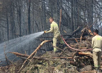 Karabük’teki orman yangınında 120. saat