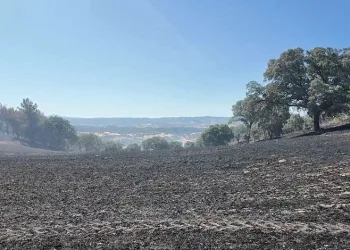 Kütahya’daki orman yangını kontrol altına alındı