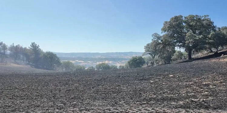 Kütahya’daki orman yangını kontrol altına alındı