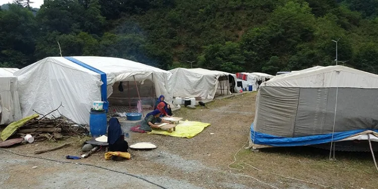 Mevsimlik tarım işçileri fındık hasadı için Ordu’da
