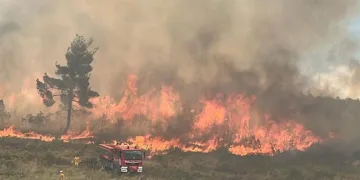 Bilecik Vezirhan’da Kırsal Yangın Alarmı