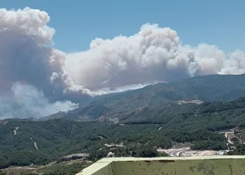 Suriye’deki orman yangını için Hatay teyakkuza geçti