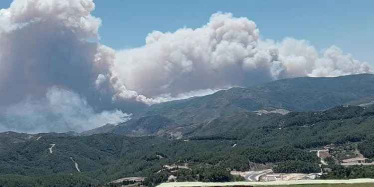 Suriye’deki orman yangını için Hatay teyakkuza geçti