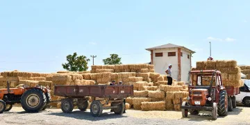 İş birliği projesi hayvancıya nefes oldu