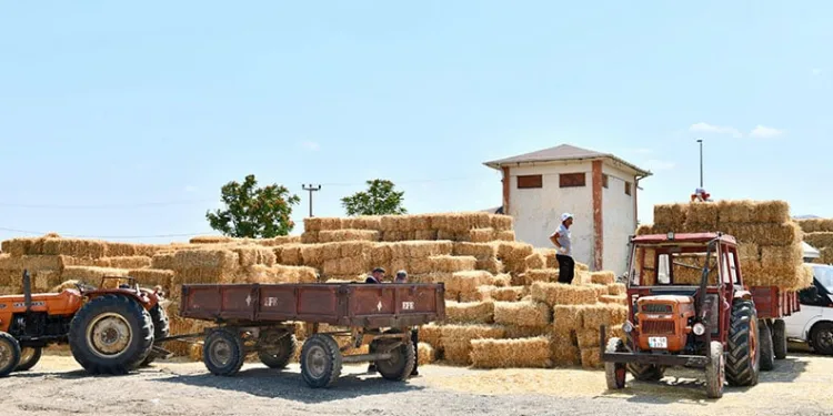 İş birliği projesi hayvancıya nefes oldu