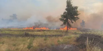 Bilecik’teki orman yangınına müdahale sürüyor