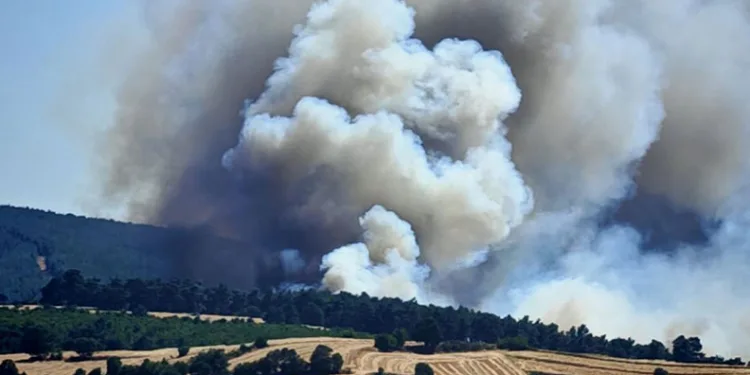 Edirne Keşan’da orman yangını
