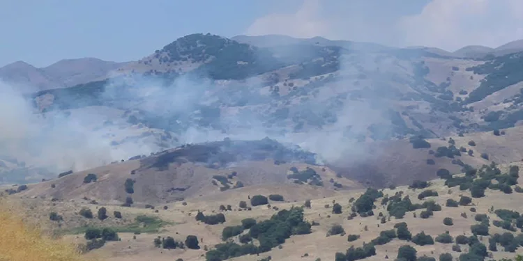 Bingöl’de orman yangını kontrol altına alındı