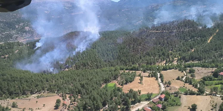 Isparta’daki yangında 20 hektar alan zarar gördü