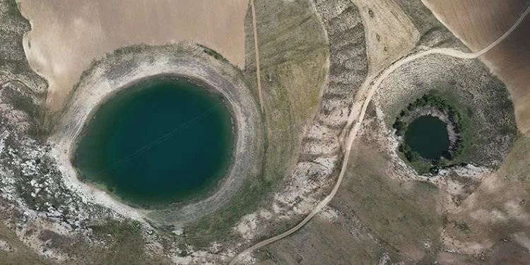 Doğanın gözlerinde kene sessizliği