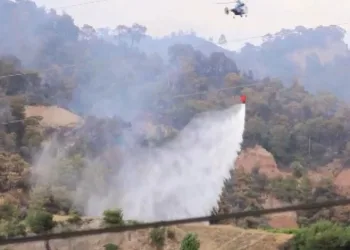 Manisa’daki alevlere 5 uçak ve 7 helikopterle müdahale