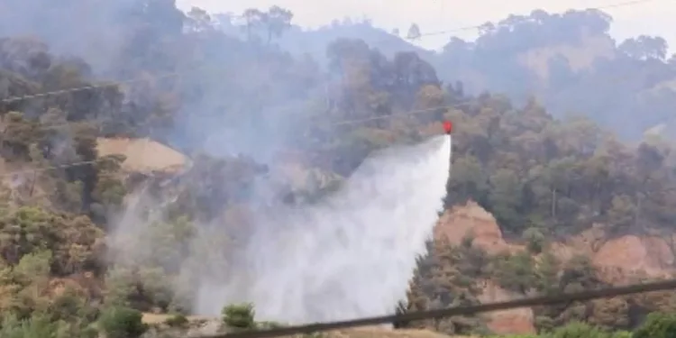 Manisa’daki alevlere 5 uçak ve 7 helikopterle müdahale