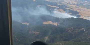 Bolu’da orman yangını