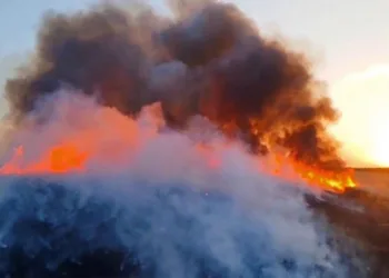 Alev alev yanan buğday tarlasını söndürmek için seferber oldular