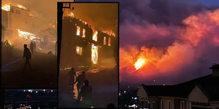 Sakarya’da orman yangını: İki mahalle tahliye edildi