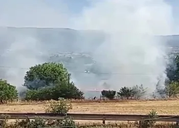 Bolu’da anız yangını korkuttu