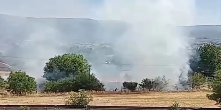 Bolu’da anız yangını korkuttu