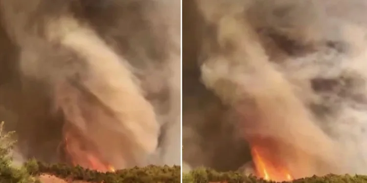 Sakarya’da alevler adeta hortum oluşturdu