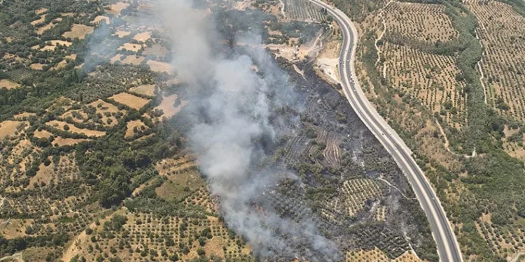 Muğla’da orman yangını